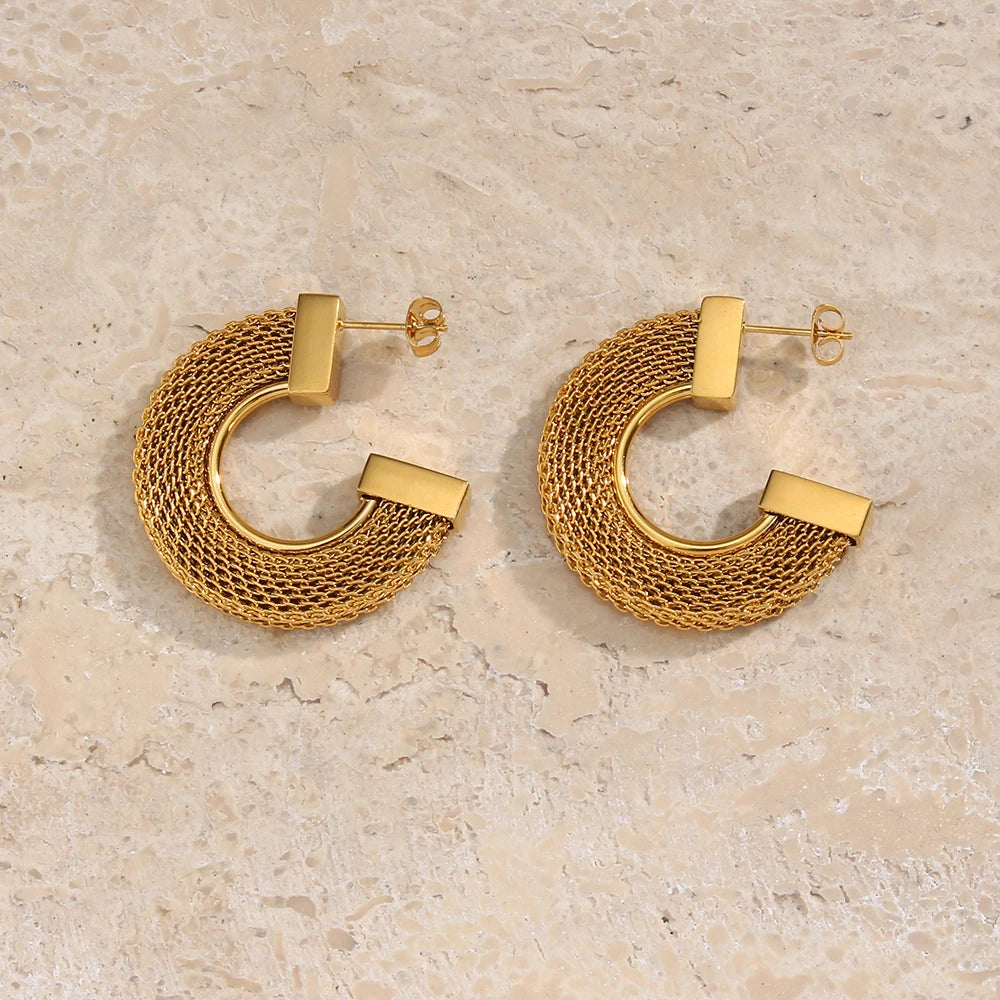 Exaggerated Flat Mesh Earrings